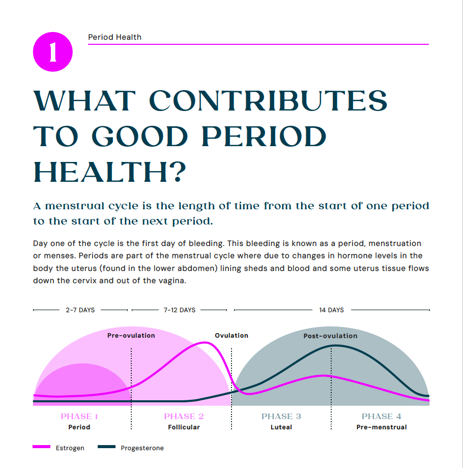 Digital Publishing: World Rugby PDFs